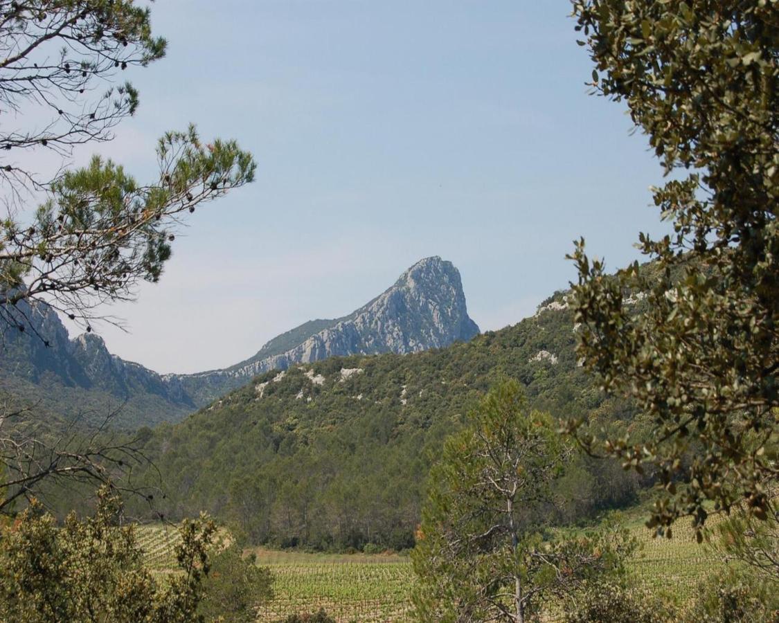 Domaine Du Bois Gite Marion Galargues المظهر الخارجي الصورة