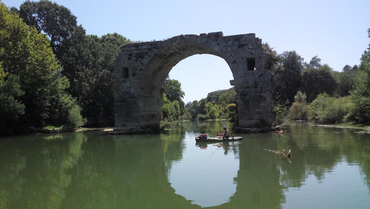 Domaine Du Bois Gite Marion Galargues المظهر الخارجي الصورة